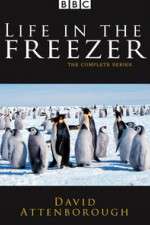 Watch Life in the Freezer M4ufree