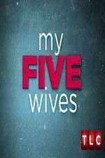 Watch My Five Wives M4ufree