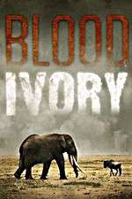 Watch Blood Ivory M4ufree