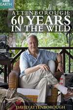 Watch Attenborough 60 Years in the Wild M4ufree