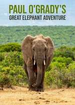 paul o'grady's great elephant adventure tv poster