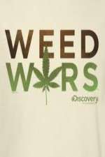 Watch Weed Wars M4ufree