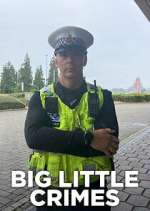 Watch M4ufree Big Little Crimes Online