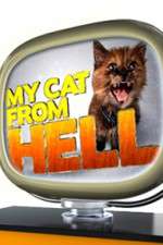 my cat from hell tv poster