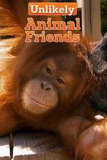 Watch Unlikely Animal Friends M4ufree