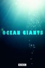 Watch Ocean Giants M4ufree