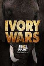 Watch M4ufree Ivory Wars Online