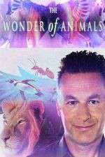 Watch The Wonder of Animals M4ufree