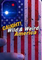 Watch M4ufree Wild & Weird America Online