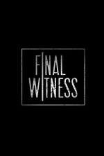final witness tv poster