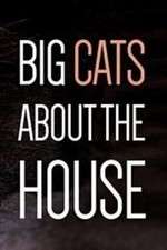 Watch Big Cats About the House M4ufree