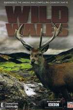 Watch Wild Wales M4ufree