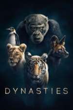 Watch Dynasties M4ufree
