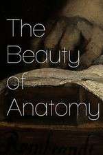 Watch The Beauty of Anatomy M4ufree