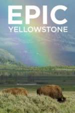 Watch Epic Yellowstone M4ufree
