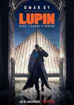 Watch M4ufree Lupin Online