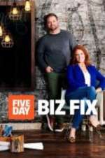 five day biz fix tv poster