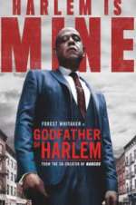 Watch M4ufree Godfather of Harlem Online