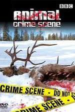 Watch Animal Crime Scene M4ufree