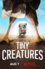 Watch Tiny Creatures M4ufree