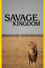 Watch Savage Kingdom M4ufree