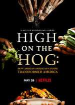 Watch M4ufree High on the Hog: How African American Cuisine Transformed America Online