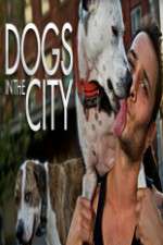 Watch M4ufree Dogs in the City Online