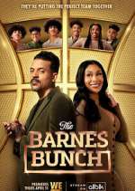 Watch M4ufree The Barnes Bunch Online