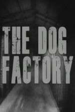 Watch M4ufree The Dog Factory Online