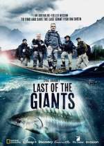 last of the giants: wild fish tv poster