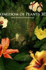 Watch Kingdom of Plants 3D M4ufree