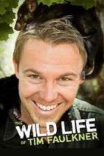 Watch The Wild Life of Tim Faulkner M4ufree