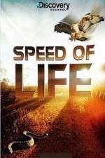 discovery channel speed of life tv poster