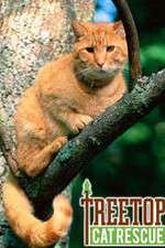Watch M4ufree Treetop Cat Rescue Online