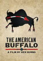 the american buffalo tv poster