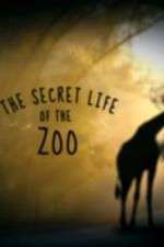 Watch M4ufree The Secret Life of the Zoo Online