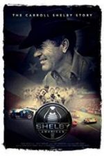 Watch Shelby American M4ufree