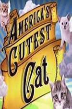 Watch America's Cutest Cat M4ufree