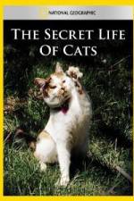 Watch National Geographic The Secret Life of Cats M4ufree