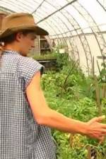 Watch Green House Seeds Strain Hunters India Expedition M4ufree