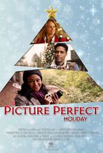 Watch A Picture Perfect Holiday M4ufree