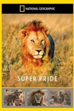Watch National Geographic: Super Pride Africa\'s Largest Lion Pride M4ufree