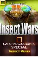 Watch National Geographic Insect Wars M4ufree