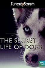 Watch Secret Life of Dogs M4ufree
