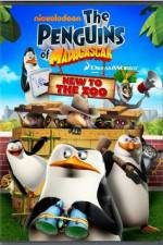 Watch Penguins of Madagascar New to the Zoo M4ufree