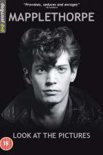Watch Mapplethorpe: Look at the Pictures M4ufree