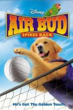 Watch Air Bud Spikes Back M4ufree
