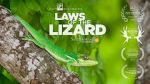 Watch Laws of the Lizard M4ufree