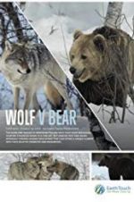 Watch Wolf vs Bear M4ufree