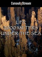Watch Life 2,000 Meters Under the Sea M4ufree